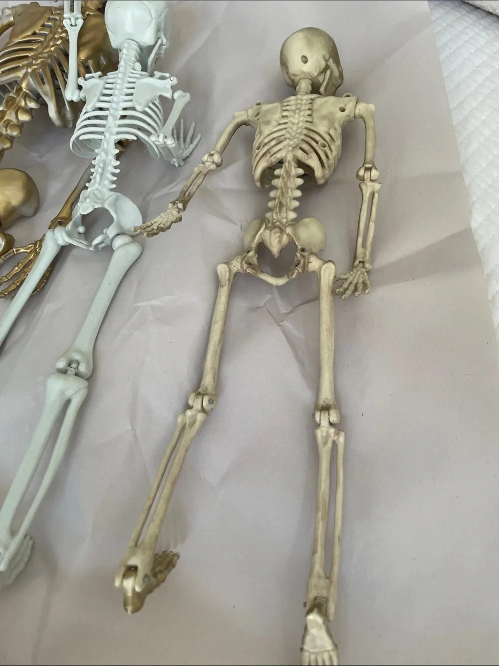 Set of Decorative Skeletons - Gold and White